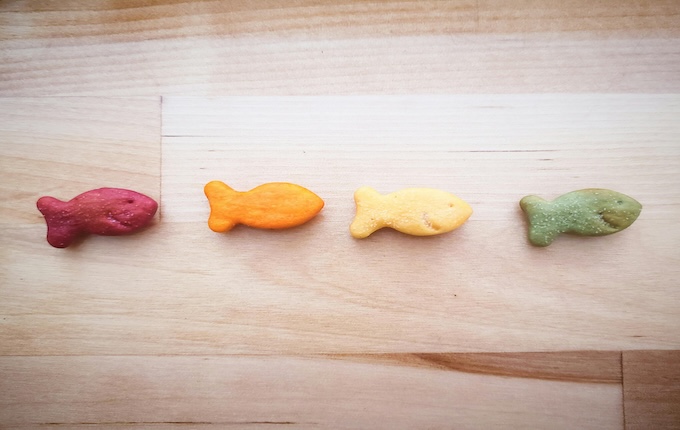 galletas de peces de colores